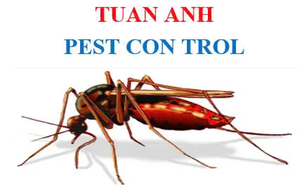 Logo Công ty TNHH Kiểm soát dịch hại Tuấn Anh