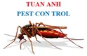 Công ty TNHH Kiểm soát dịch hại Tuấn Anh